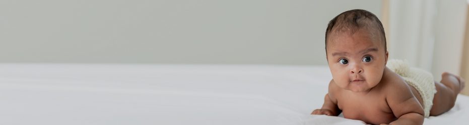 winter-newsletter-header