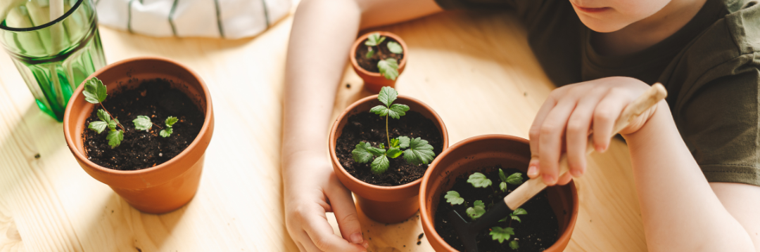 Child playing and planting plants