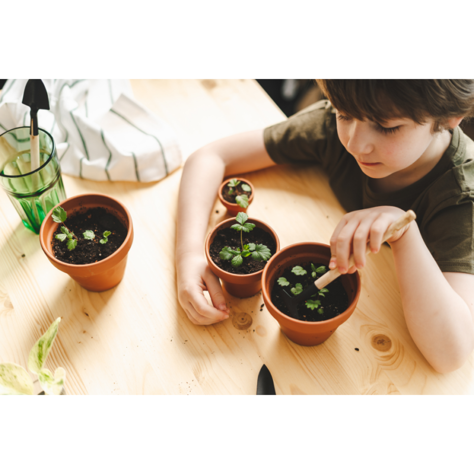 Child playing and planting plants