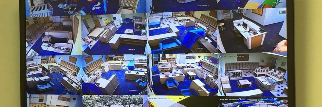 Security Screen cameras